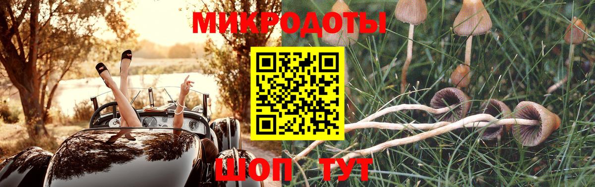 Псилоцибиновые грибы мухоморы  Псилоцибиновые грибы Magic Shrooms  Канаш  Вход с VPN 