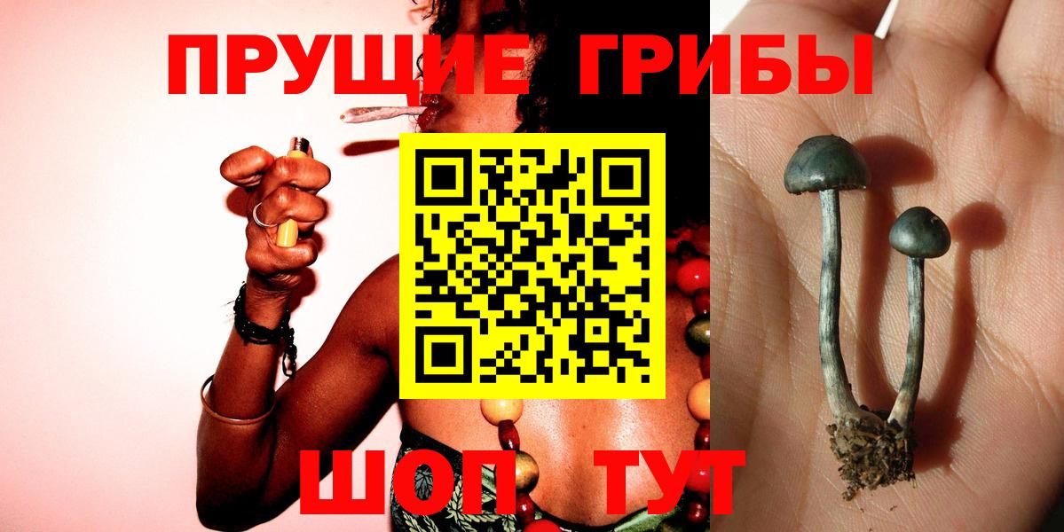 Галлюциногенные грибы Magic Shrooms Канаш